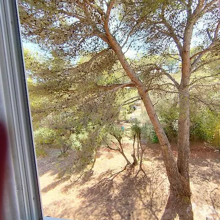 50m De La T2 Confort Lesclesdenicole * Le Pradet